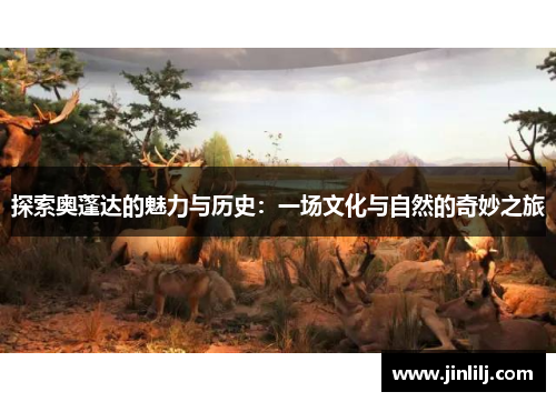 探索奥蓬达的魅力与历史：一场文化与自然的奇妙之旅